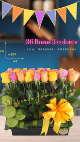 ¡Regalo Fino con Rosas Fiorella Doux!